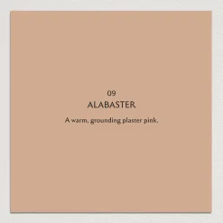 ALABASTER Paint - 09