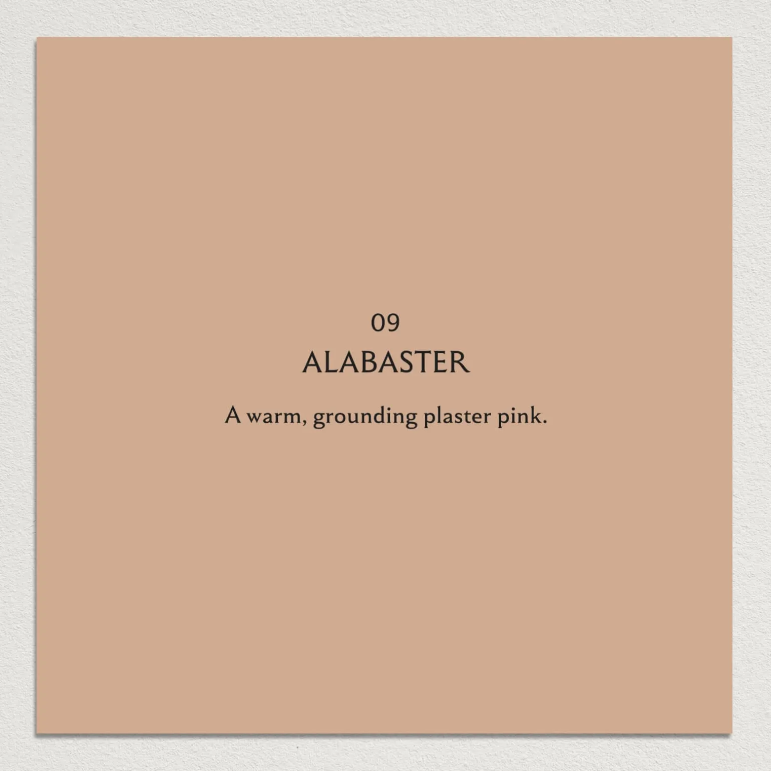 ALABASTER Paint - 09