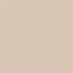 AMANITA Paint - 82