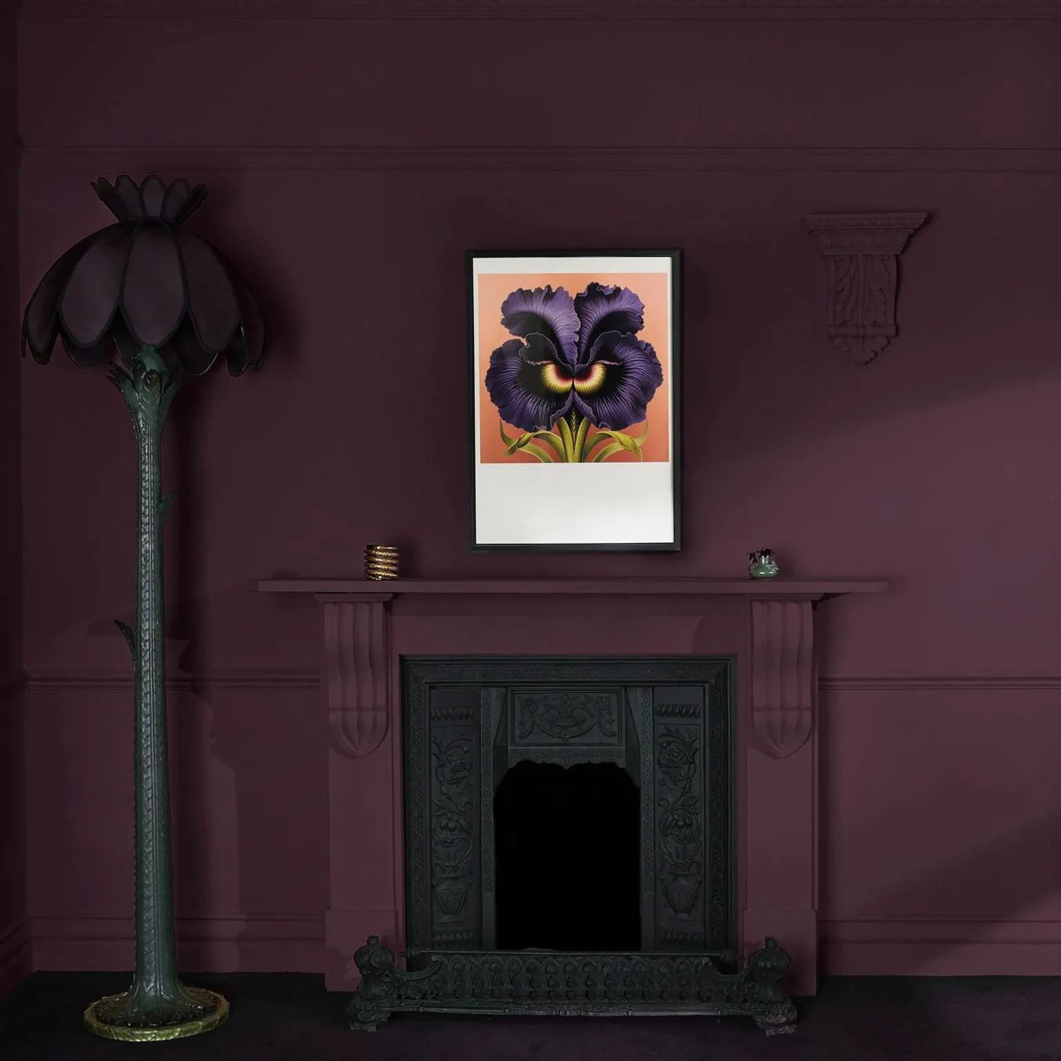 ANEMONE Paint - 11