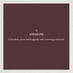 ANEMONE Paint - 11