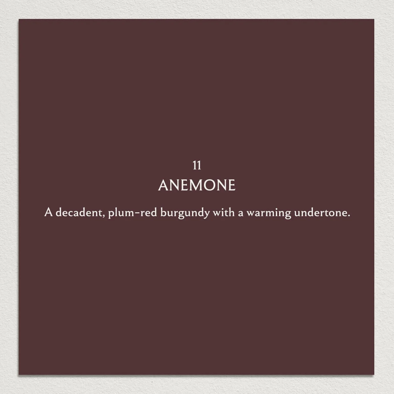 ANEMONE Paint - 11