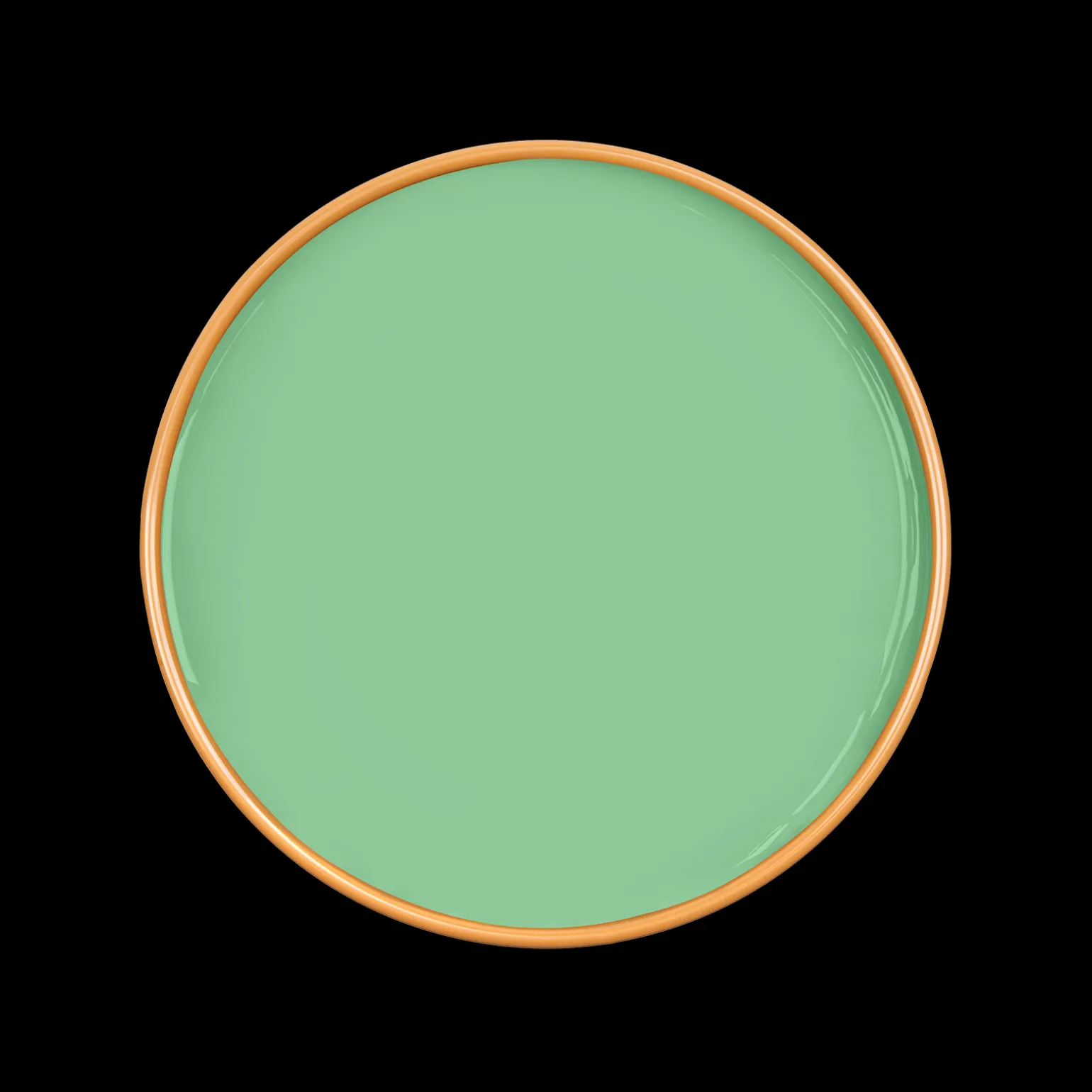 ANISE Paint - 65