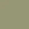 APPLE Paint - 28
