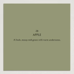 APPLE Paint - 28
