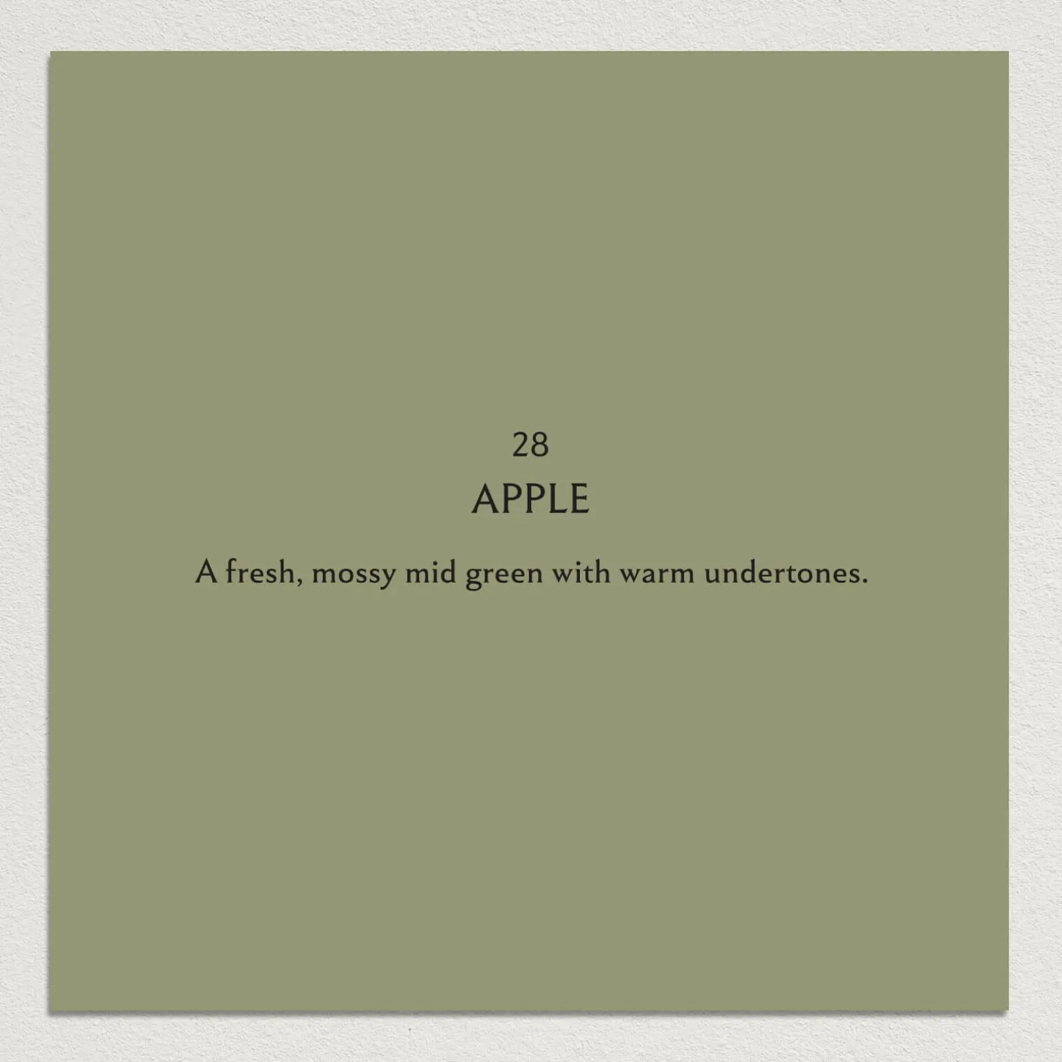 APPLE Paint - 28