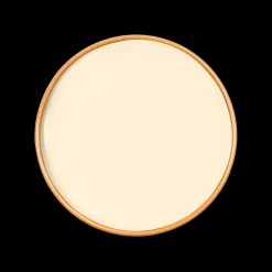 ASTERA Paint - 03