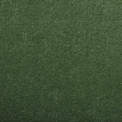 BILLIARD Plain Carpet