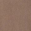 BLUSH Plain Carpet