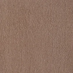 BLUSH Plain Carpet