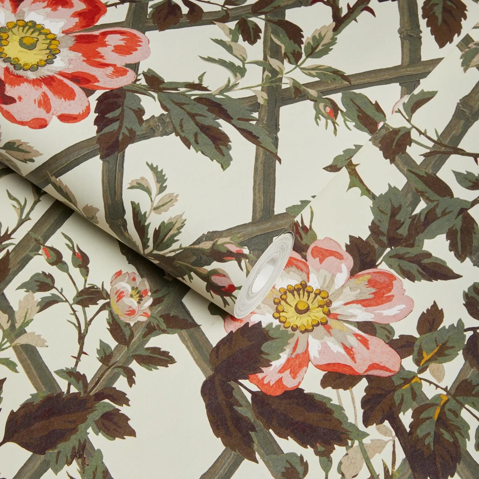 BRYHER ROSE Wallpaper - Cinnabar