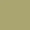 CELOSIA Paint - 31