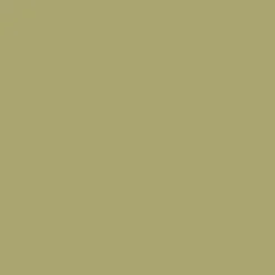 CELOSIA Paint - 31