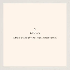 CIRRUS Paint - 01
