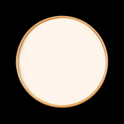 CIRRUS Paint - 01