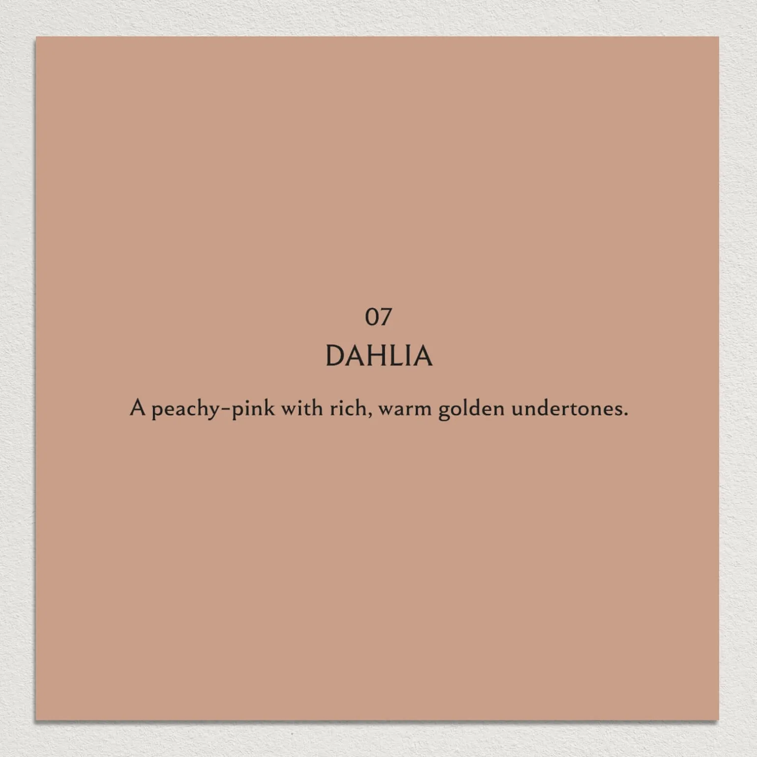 DAHLIA Paint - 07