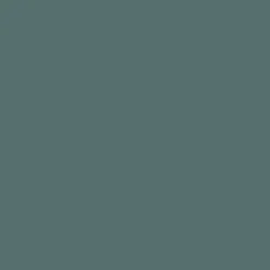 EUPHORBIA Paint - 90