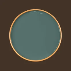 EUPHORBIA Paint - 90