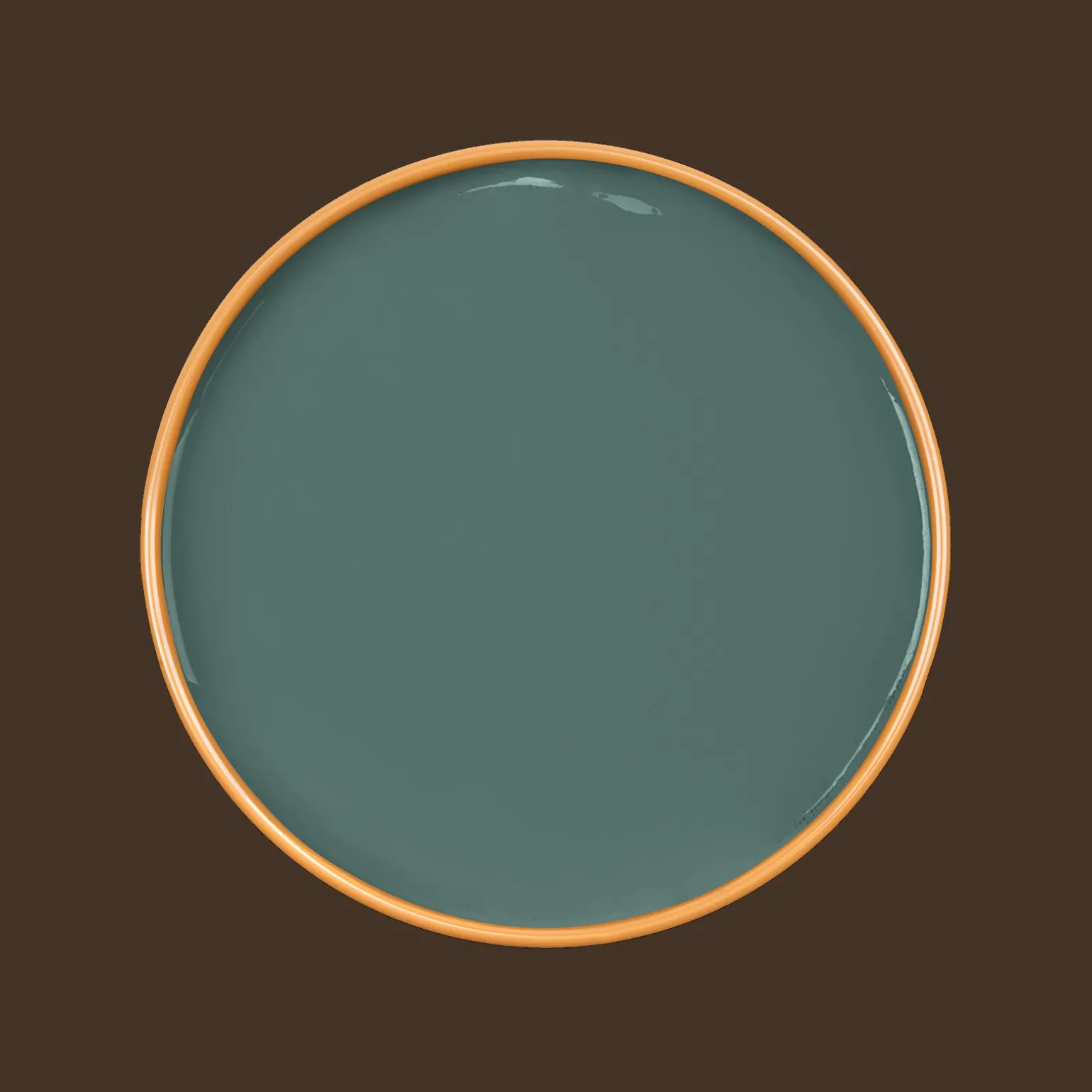 EUPHORBIA Paint - 90
