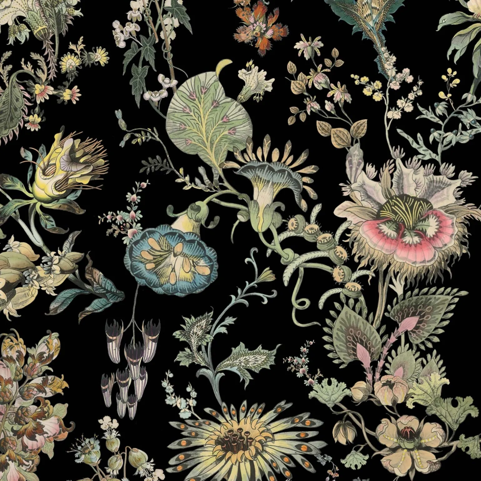 FLORA FANTASIA Wallpaper - Noir