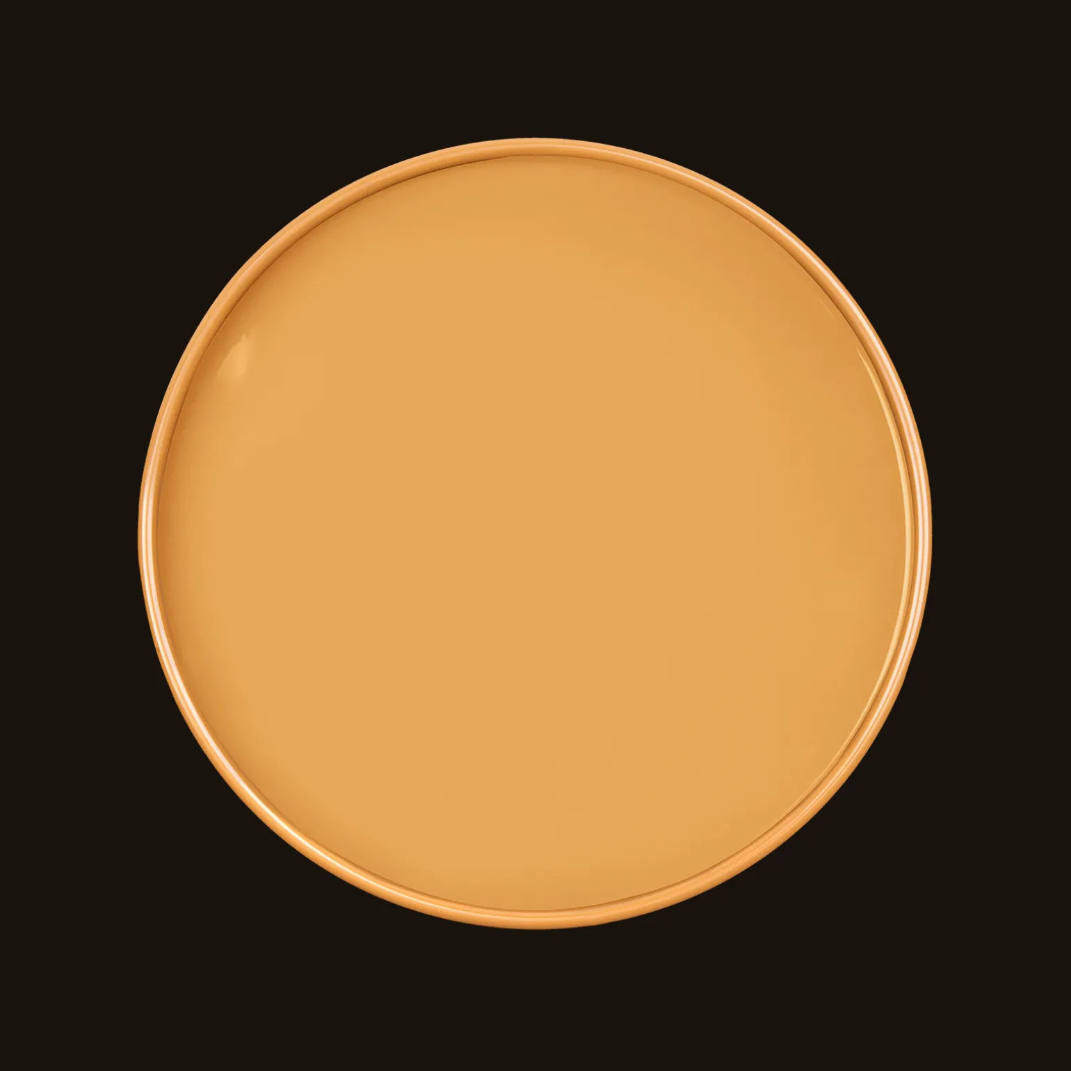 GAMBOGE Paint - 13