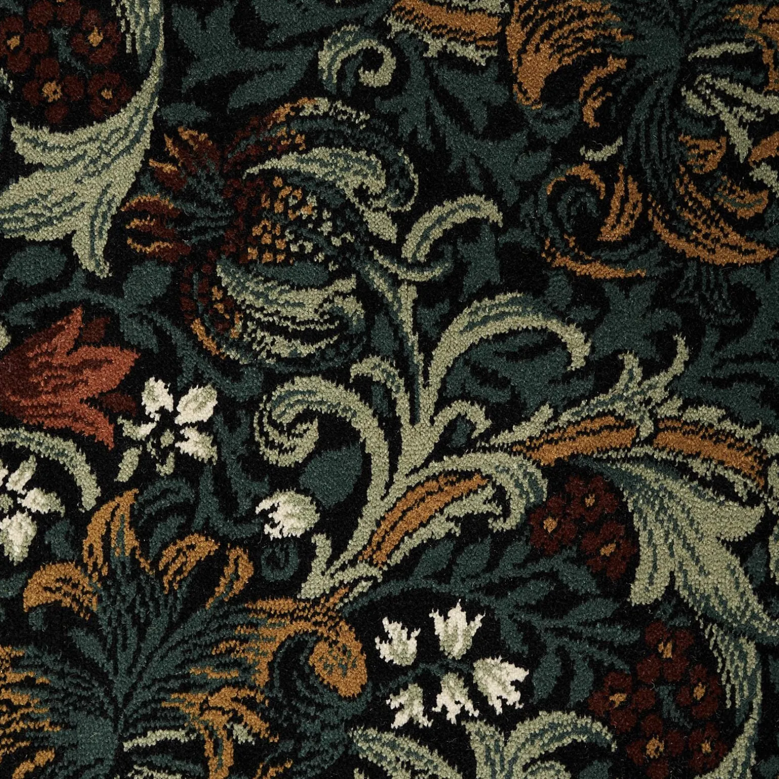 GOLDEN LILY Carpet - Midnight