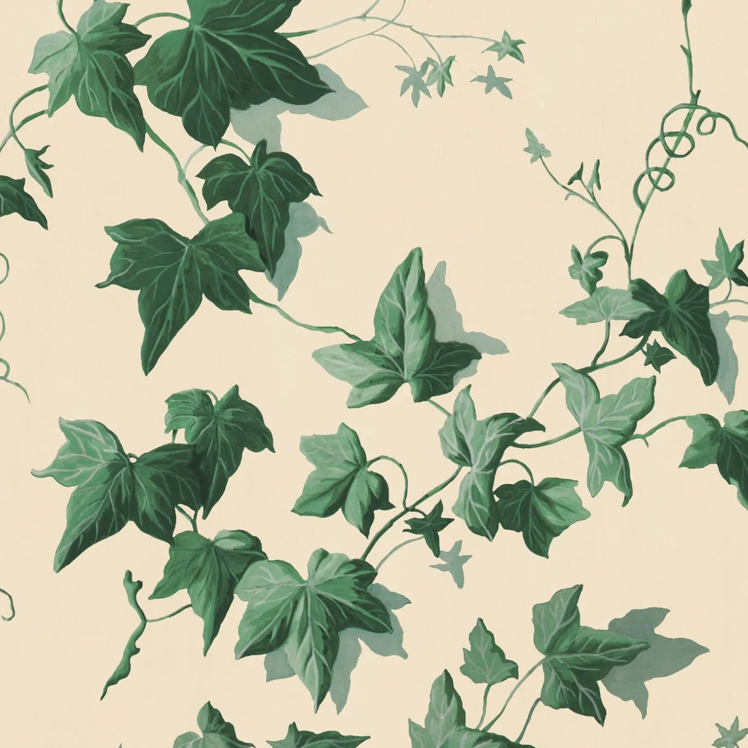 HEDERA Wallpaper - Viridian
