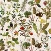 HERBARIUM Wallpaper - Ecru