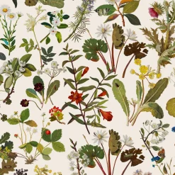HERBARIUM Wallpaper - Ecru