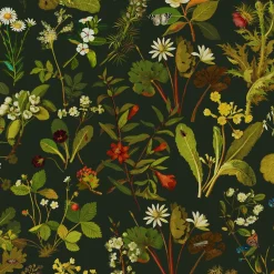 HERBARIUM Wallpaper - Forest Green-Spruce