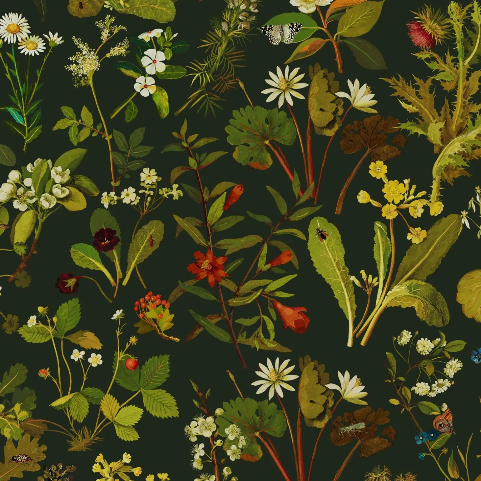 HERBARIUM Wallpaper - Forest Green-Spruce