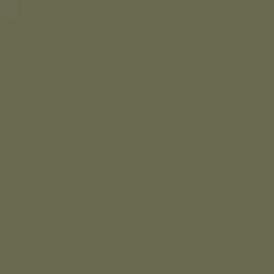 LAURUSTINE Paint - 34