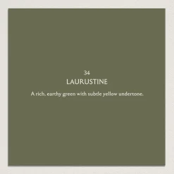 LAURUSTINE Paint - 34
