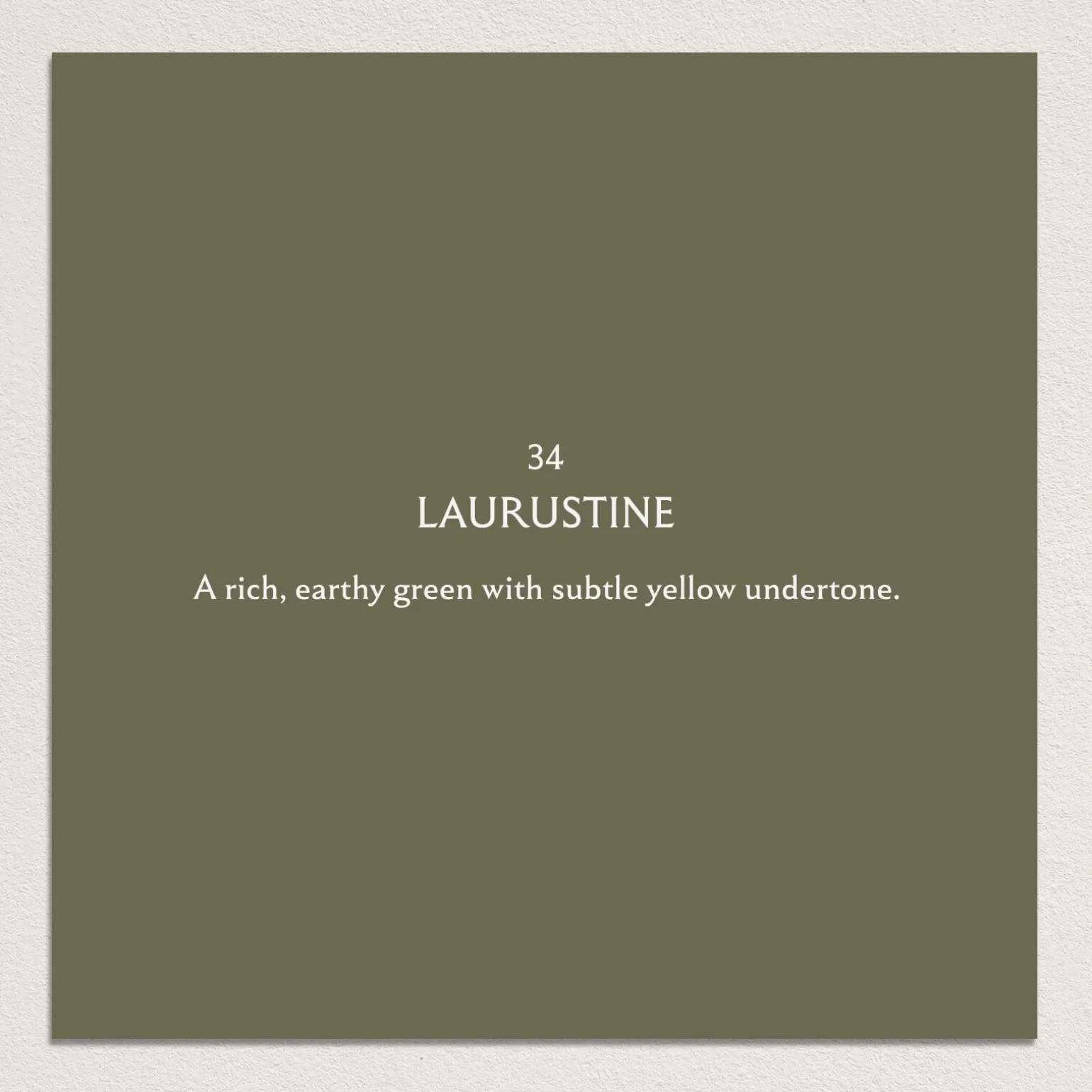 LAURUSTINE Paint - 34
