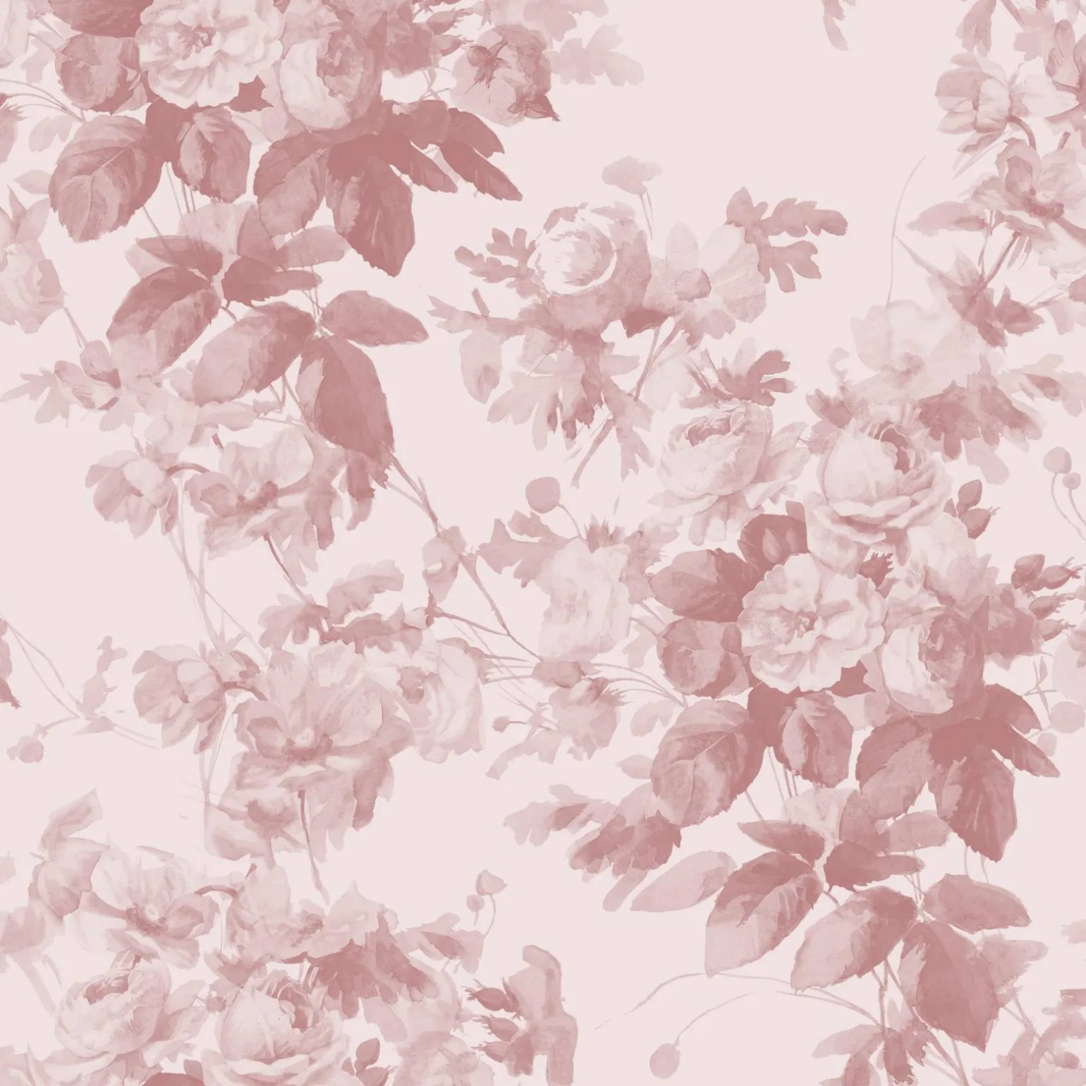 LONDON ROSE Traditional Wallpaper - Blush