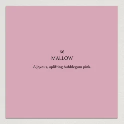 MALLOW Paint - 66