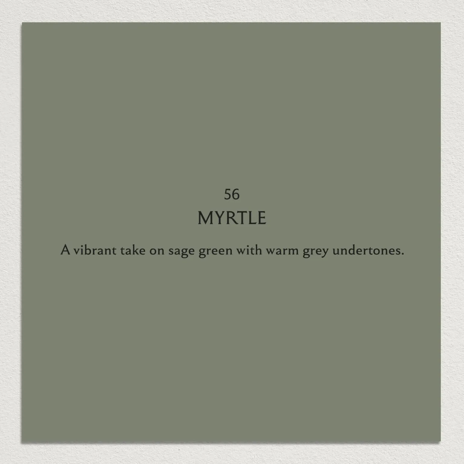 MYRTLE Paint - 56