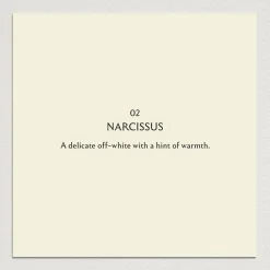 NARCISSUS Paint - 02