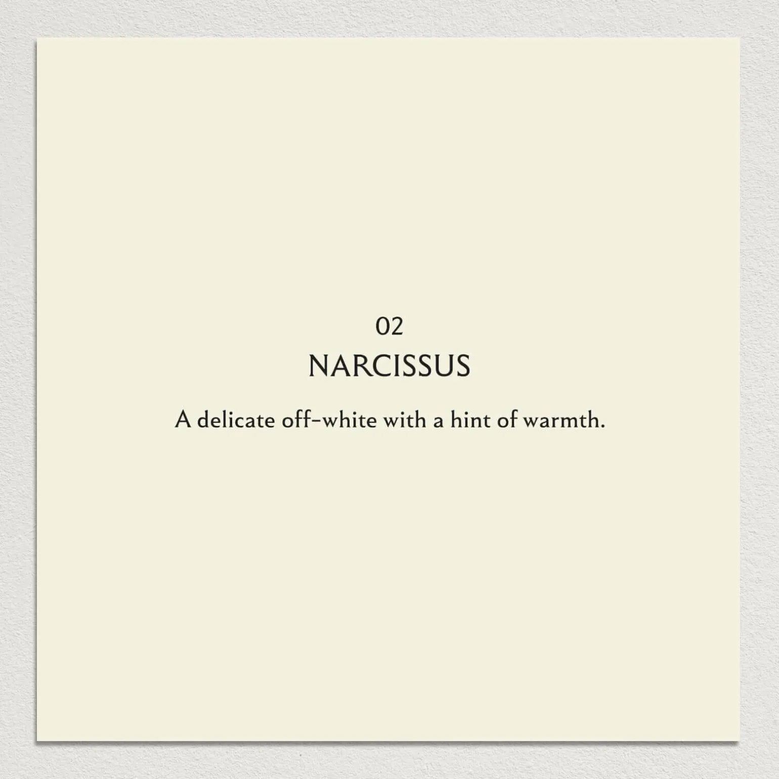 NARCISSUS Paint - 02