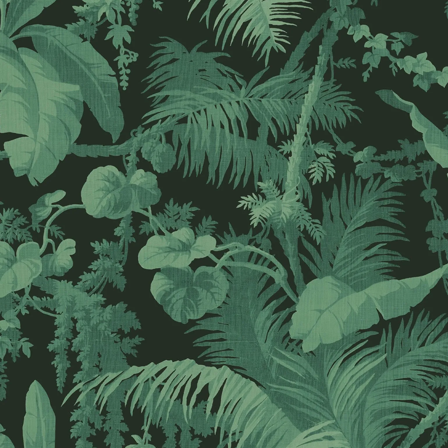 PAMPAS Wallpaper - Noir