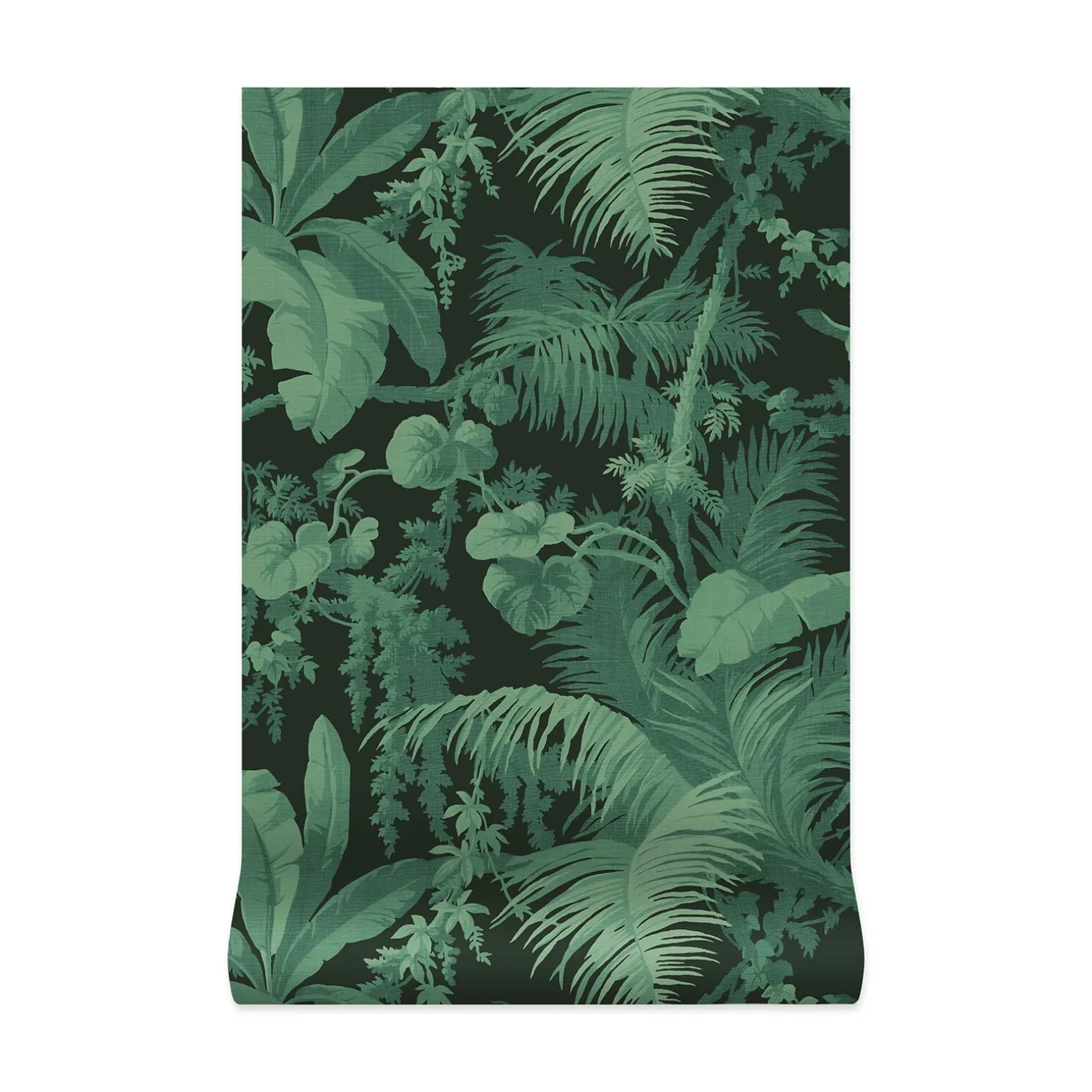 PAMPAS Wallpaper - Noir
