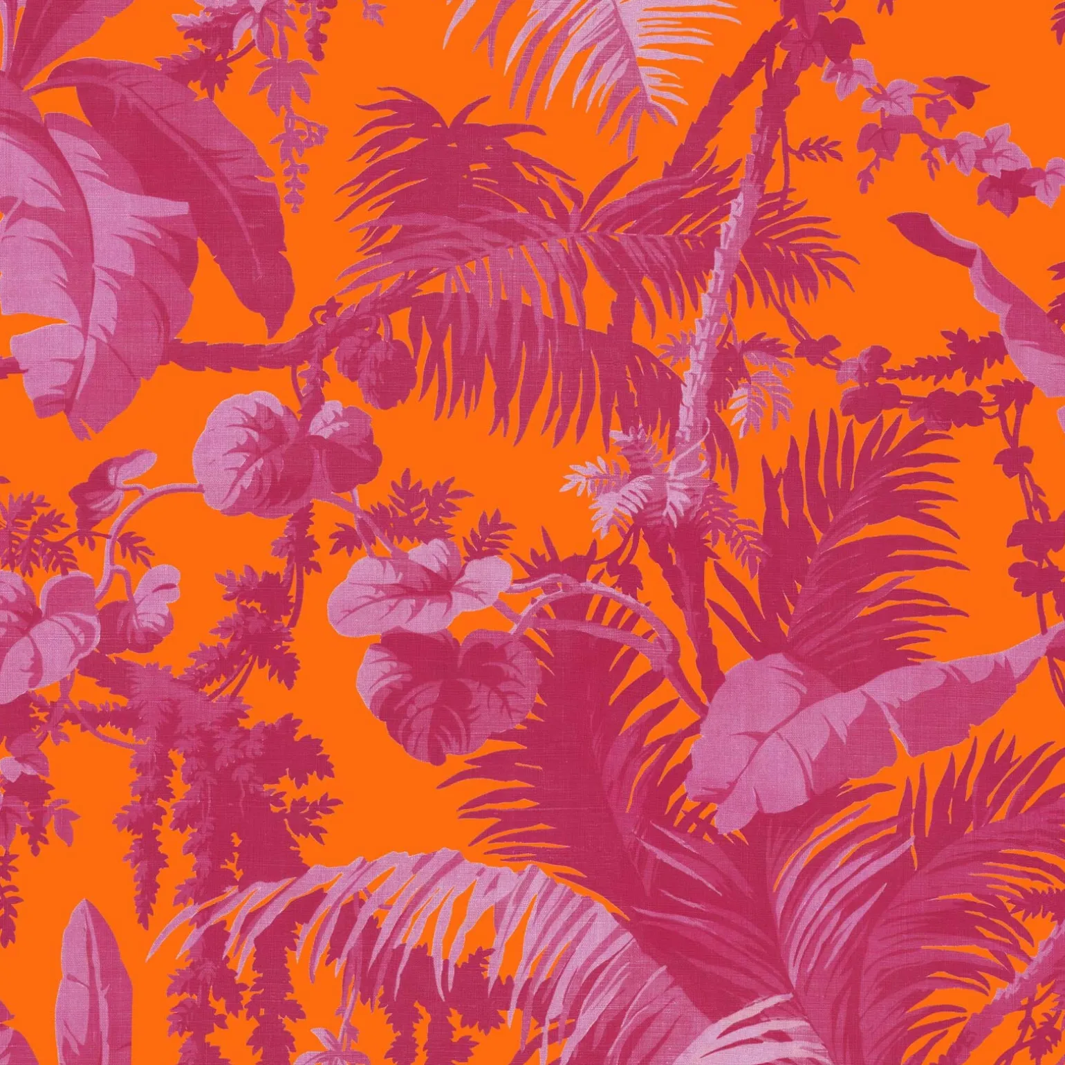 PAMPAS Wallpaper - Tangerine & Azalea