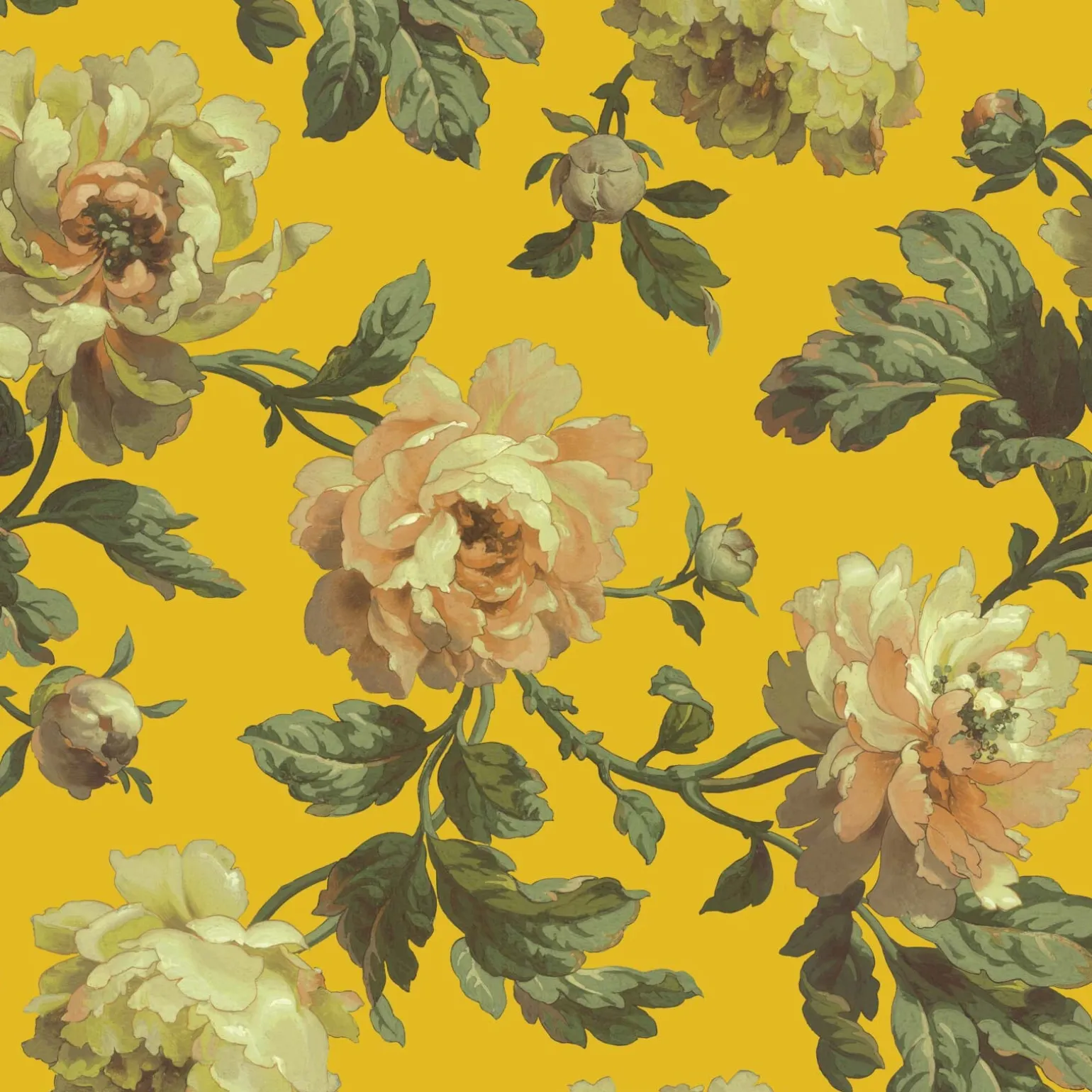 PEONEDEN Wallpaper - Ochre