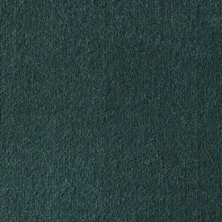 PETROL Plain Carpet