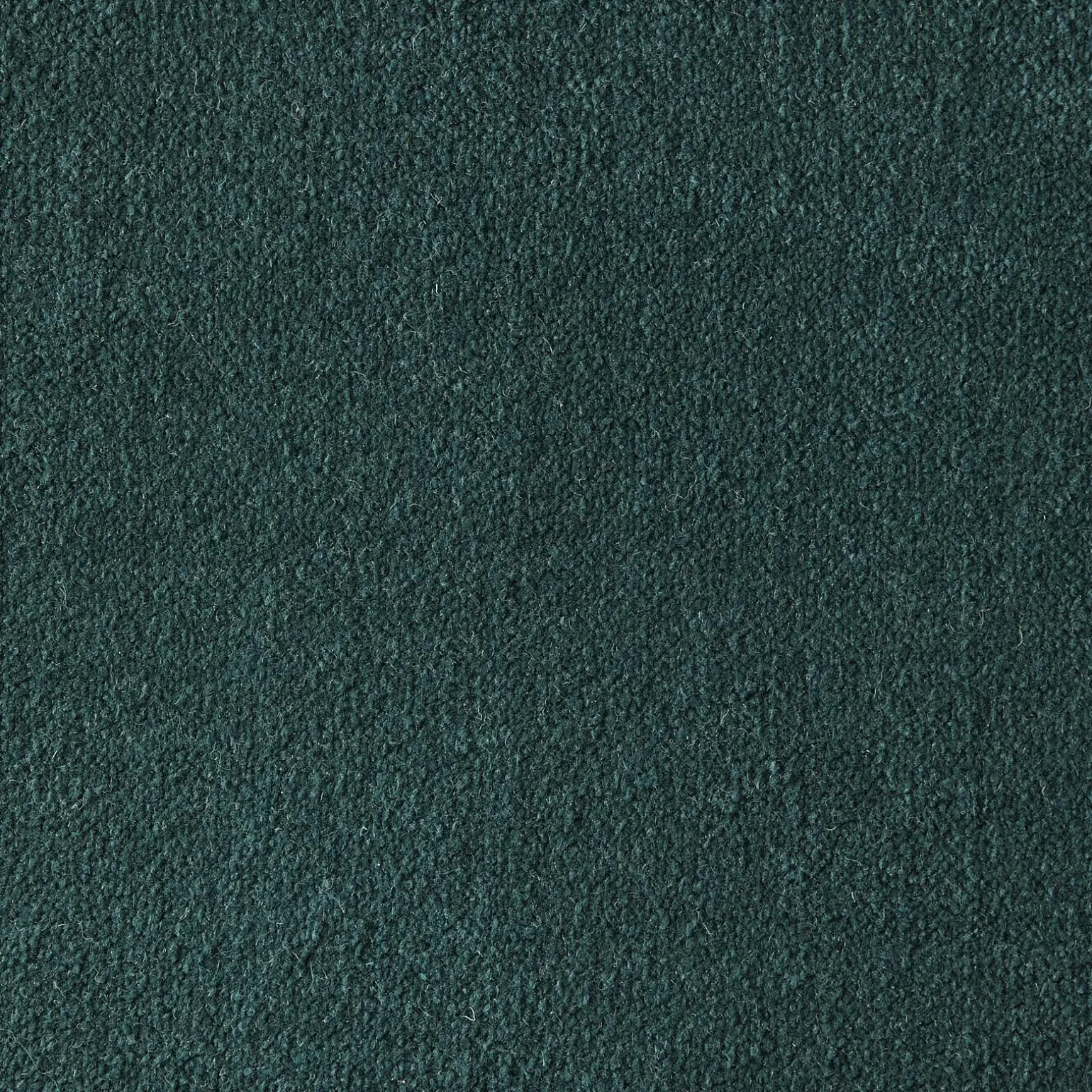 PETROL Plain Carpet