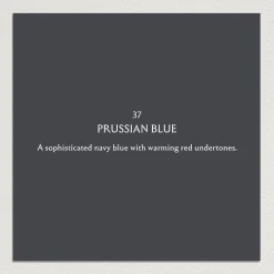 PRUSSIAN BLUE Paint - 37