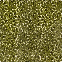 QUERCUS Velvet Jacquard - Evergreen