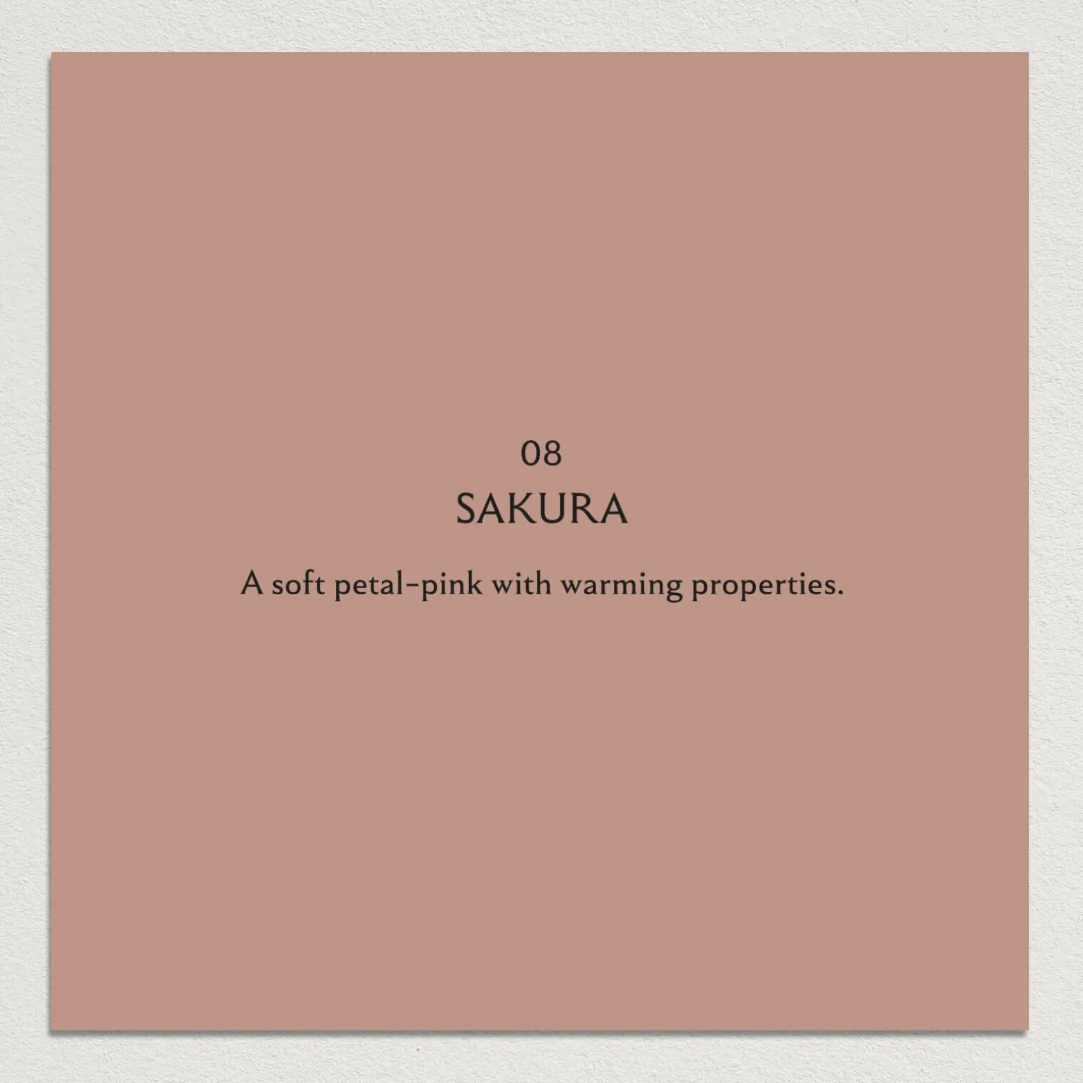 SAKURA Paint - 08