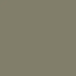 SAP Paint - 30