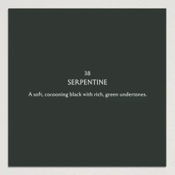 SERPENTINE Paint - 38